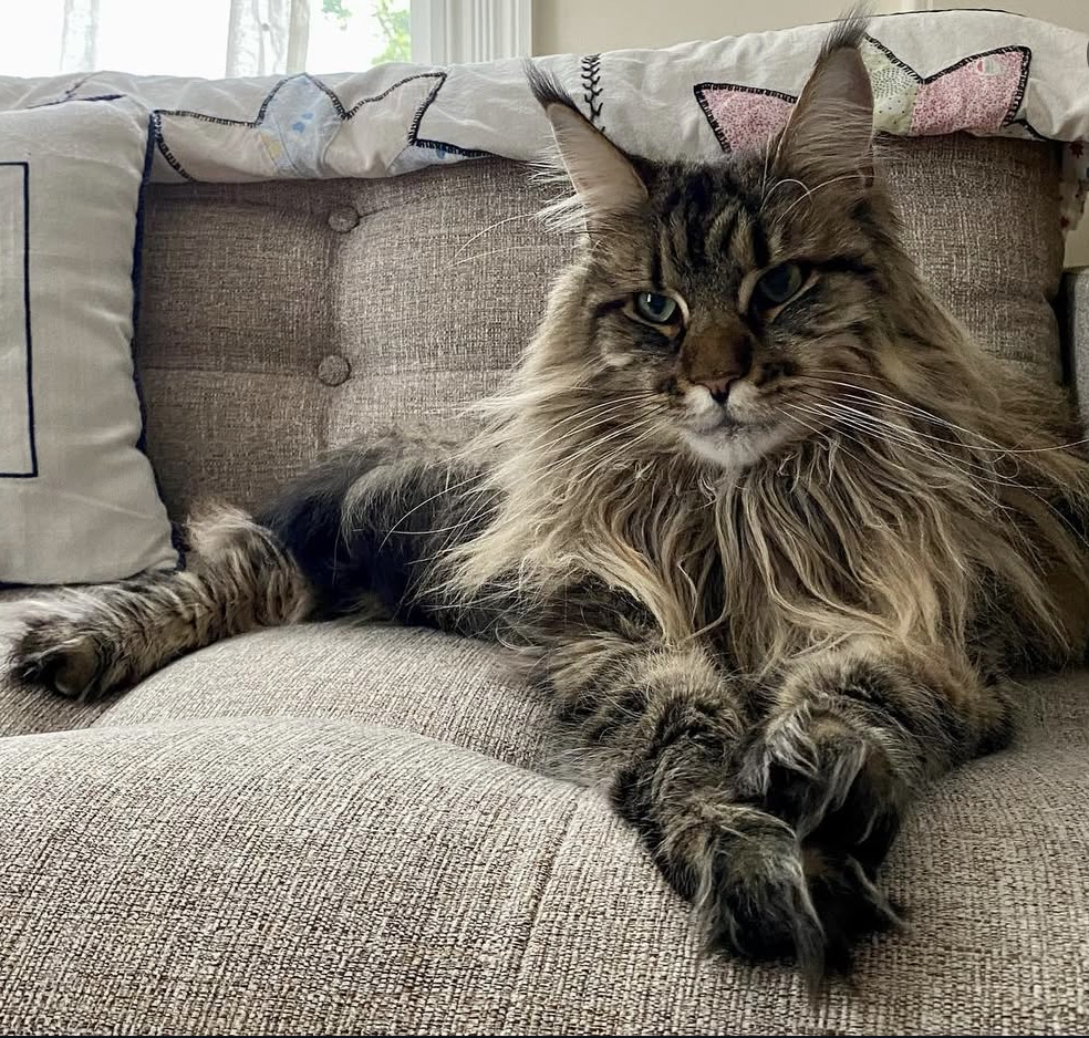 Ellie - Director of Oversight