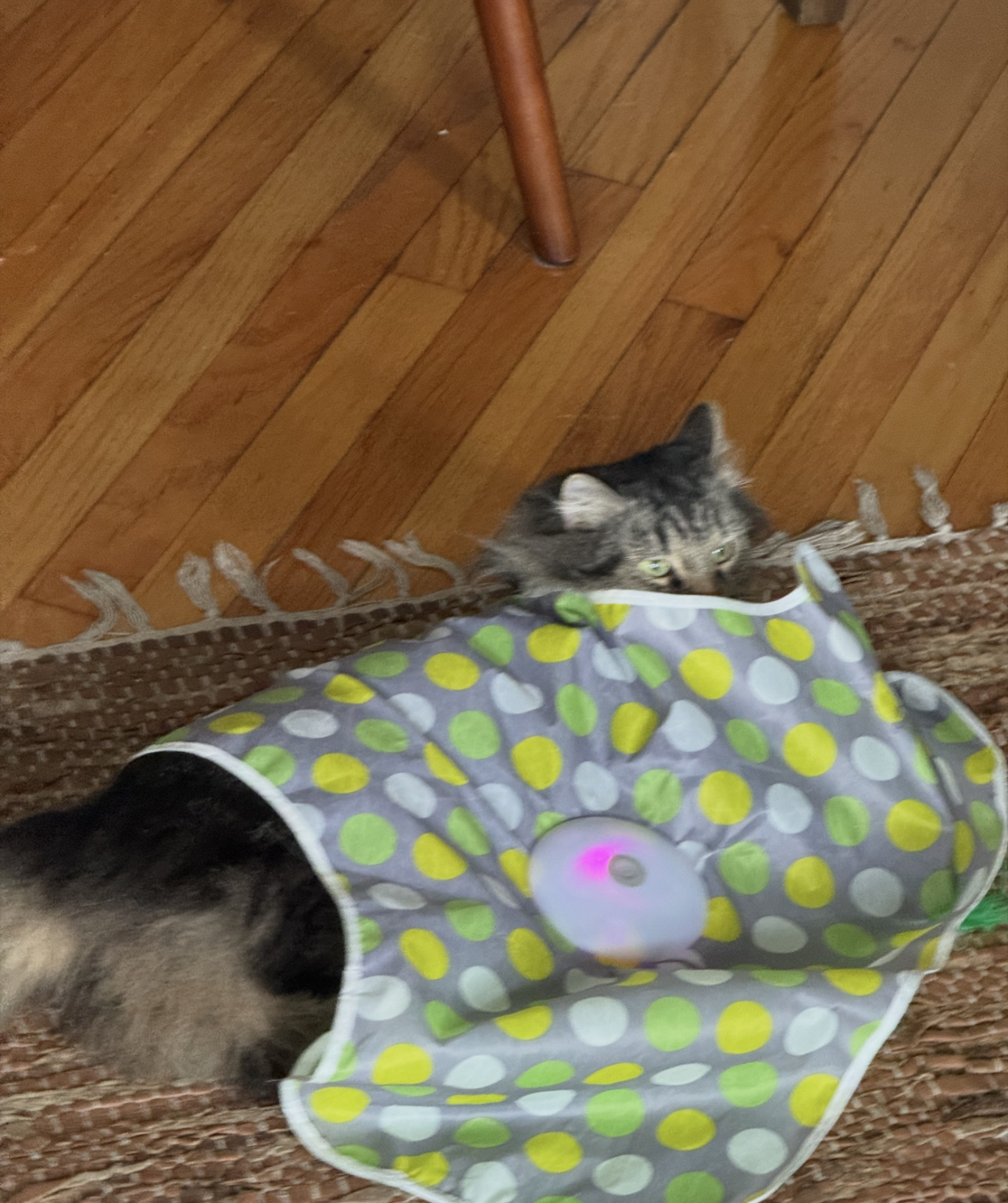 Oscar - Senior Consultant